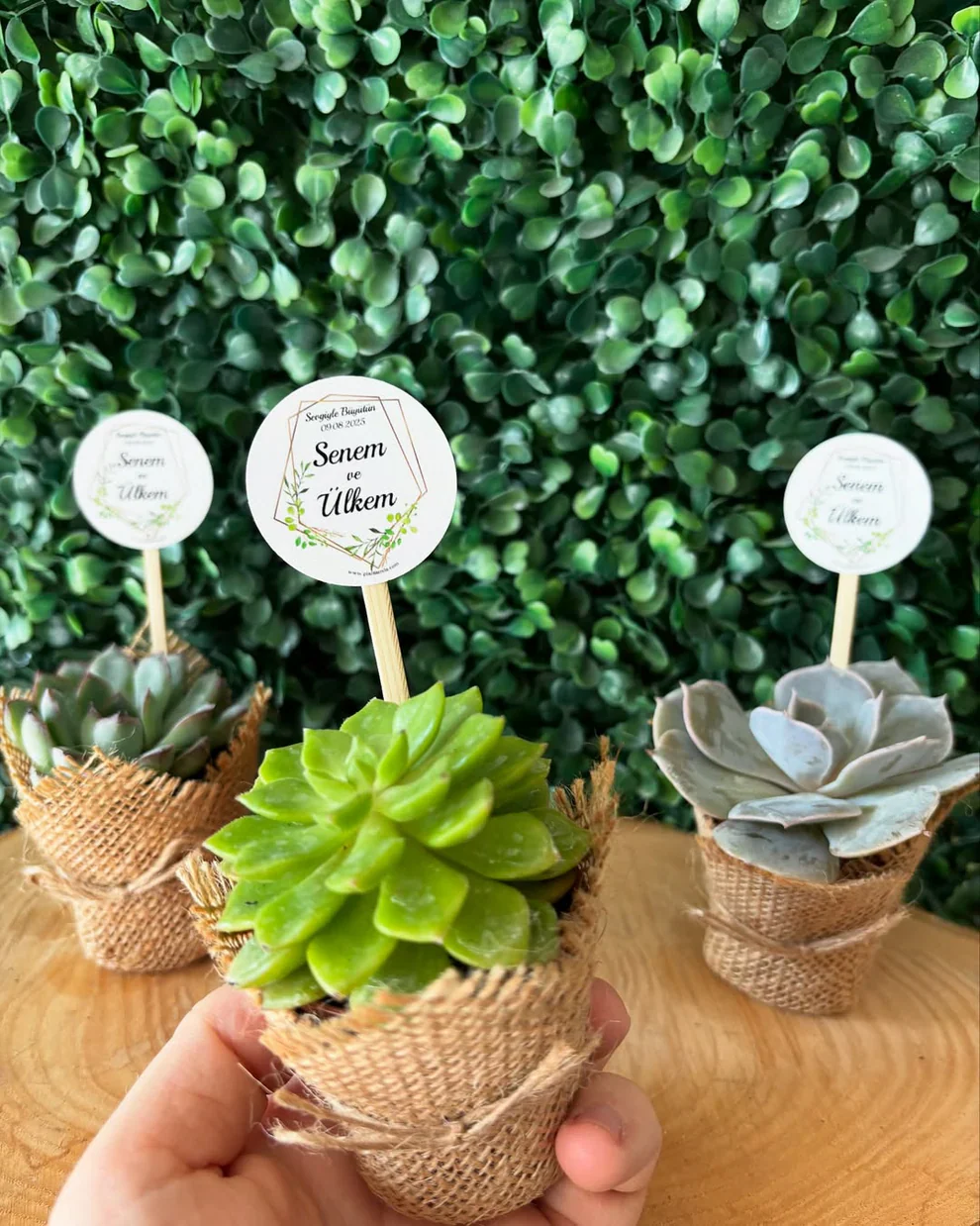 En Güzel Nikah Şekeri & Hediyelik Modelleri 2025