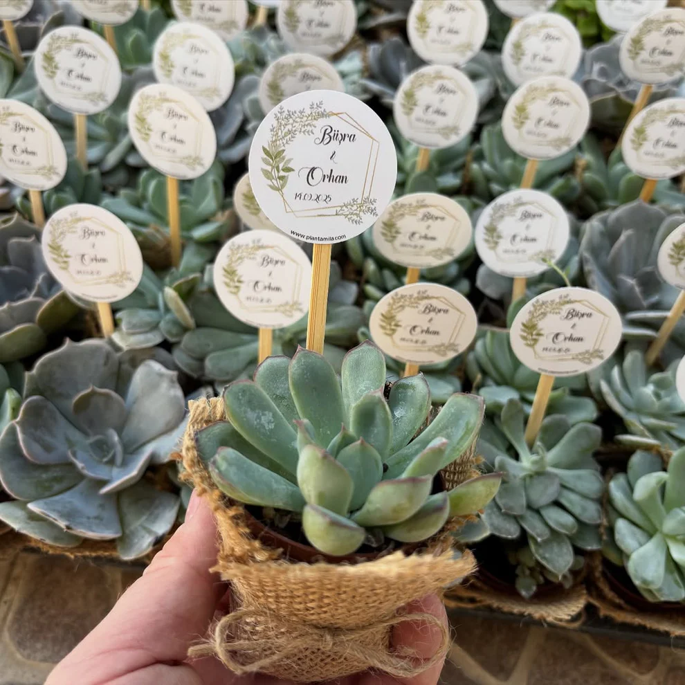 2025'in En Güzel ve Kalıcı 10 Nikah Hediyelik Modeli